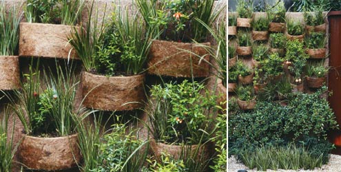 Uma ideia que está em alta ultuimamente são os jardins de parede com cachepôs de fibra de coco, que dão uma aparência mais natural e rústica à decoração da parede em que é aplicado
