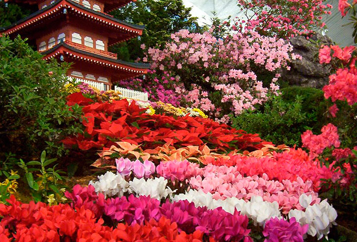 Jardim de flores com inspiração japonesa