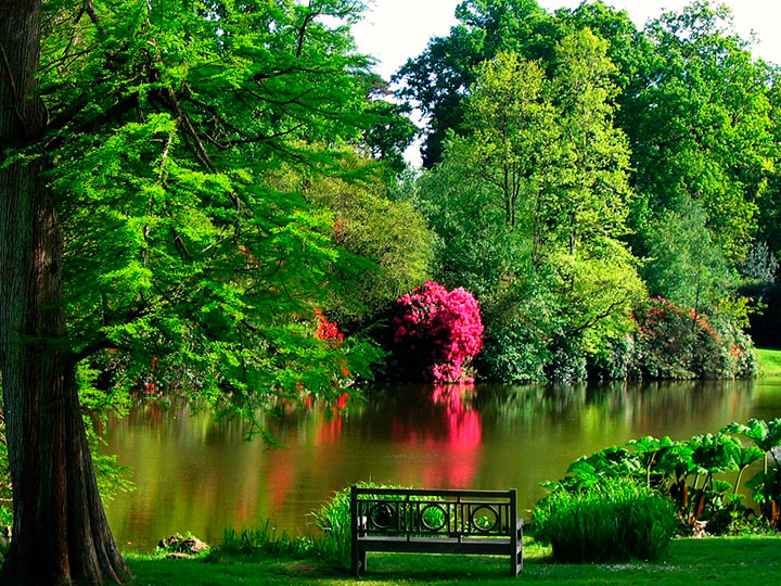 Típica paisagem de um Jardim Inglês, em que a natureza mostra sua exuberância