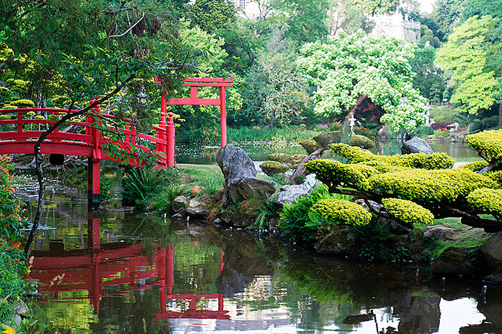 Típico caso de Jardim Japonês, com pedras, plantas tradicionais e um córrego de água para amenizar a paisagem.