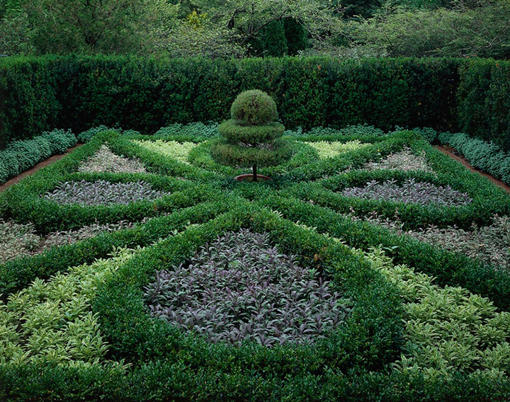 Formas geométricas rígidas são a cara deste tipo de jardim