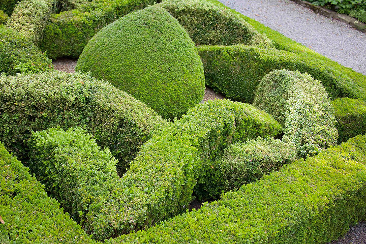 Mais um belo exemplo de jardim do tipo Knot Garden