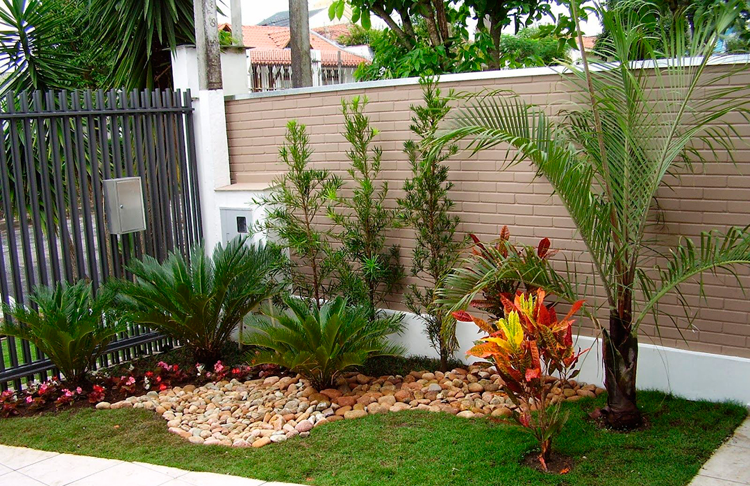 Plantas Para Jardim Tropical