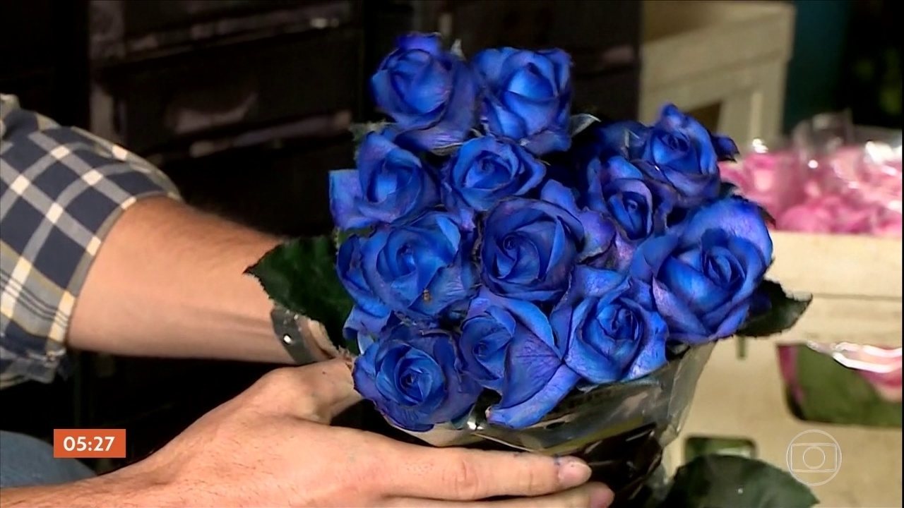 Rosa Azul flor azul